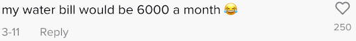 WaterSlyde TikTok comments - "My water bill would be 6000 a month."