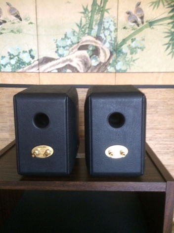 Sonus Faber Toy Monitors. Sweet and open. Italian made.