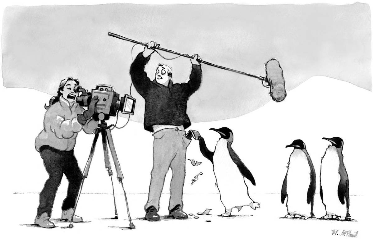 Cartoon of penguin stealing a man’s wallet