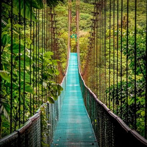 Bed and breakfast stay in Monteverde