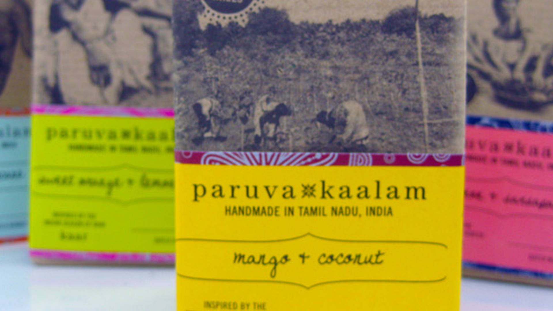 Featured image for Paruva Kaalam Soaps