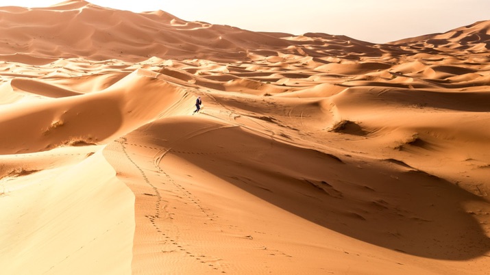 Explore the dunes