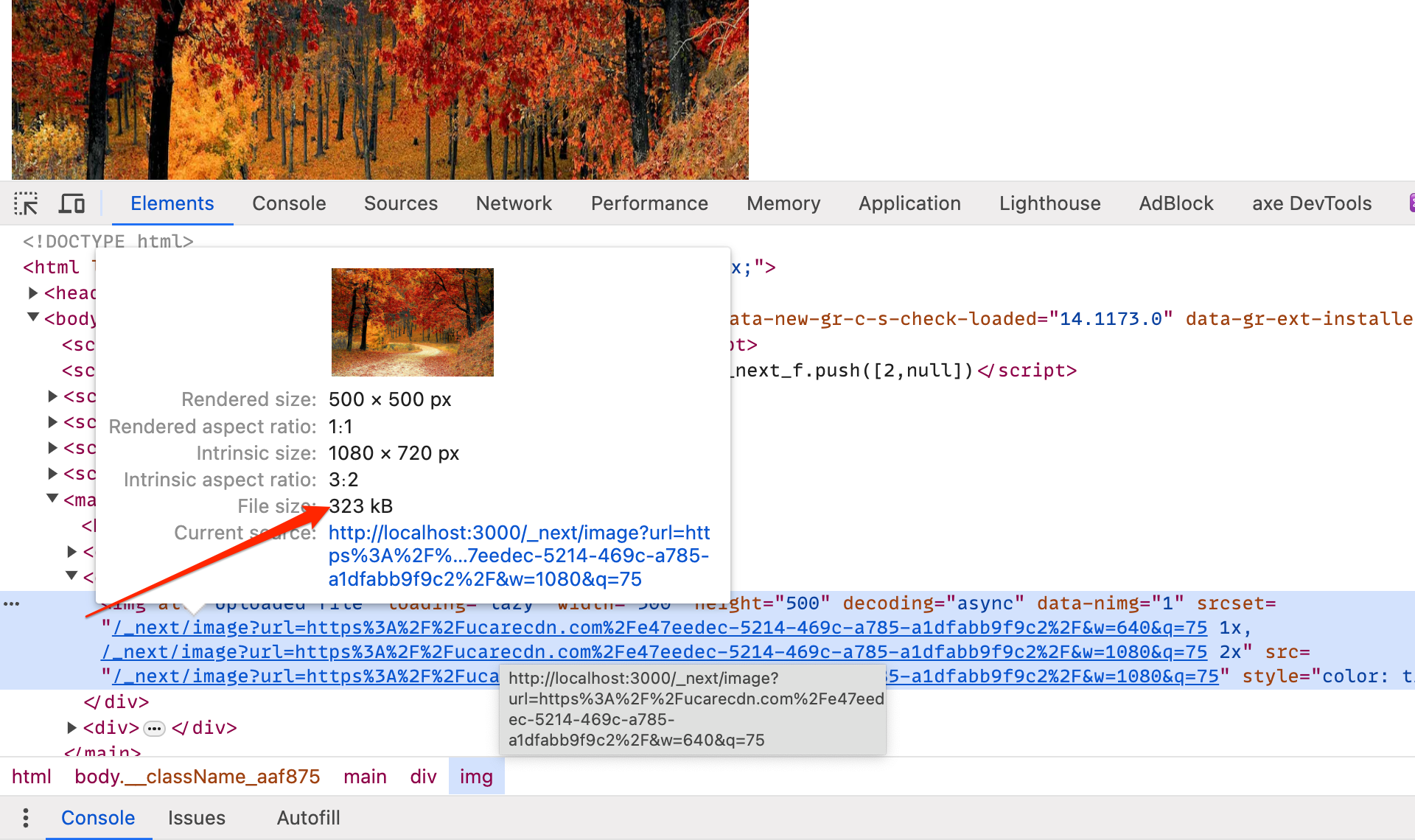 Browser Logs showing Next.js image