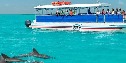 Key West: Snorkel Tour from Miami with Unlimited Drinks promotional image