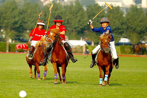 Marque de polo avec un 2024 cheval