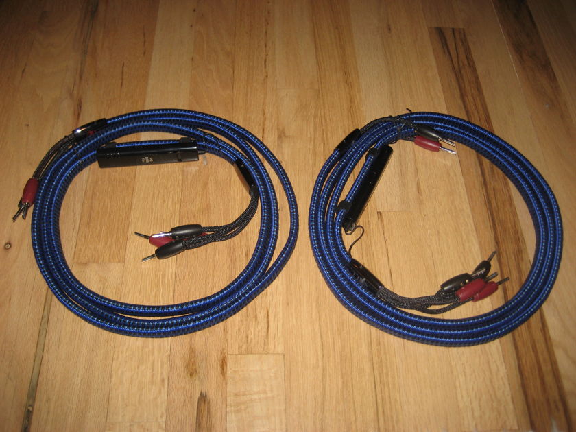 AudioQuest Gibraltar 10 Ft. pair of Single Bi-Wire Speaker Cables with 72v DBS
