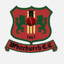 Whitchurch Cricket Club logo