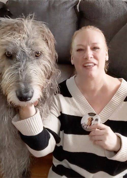 dewel flea and tick collar review
