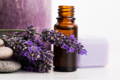 Lavender Essential Oils for Muscle Pain