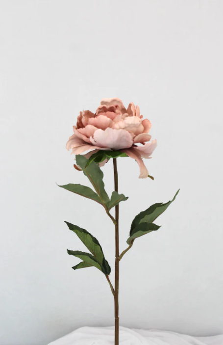 Dusty Pink Silk Touch Peony Stem - Realistic Artificial Flowers Box of 12 - Image 2