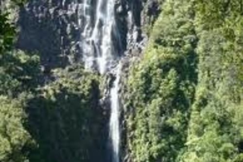 24. Восхождение на самый высокий водопад Вайрере. Из Окленда, Роторуа, Тауранга.