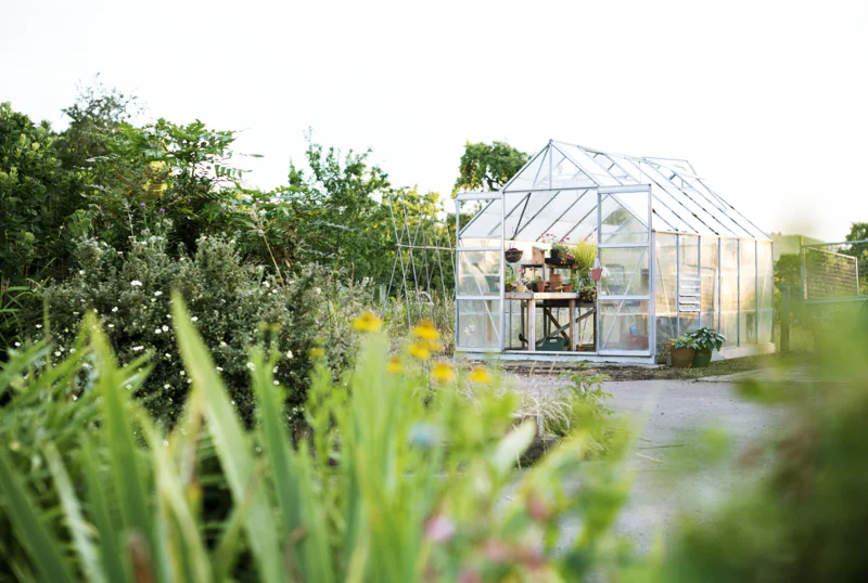 Glass greenhouse in a garden surrounded by flowers