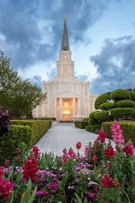 Path leading toward Houston Temple lined by hedges. Red and pink flowers in the forefront.