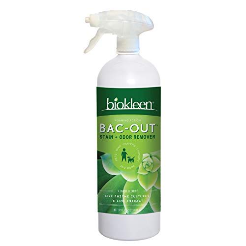 Zout Triple Enzyme Formula Laundry Stain Remover vs Biokleen BacOut