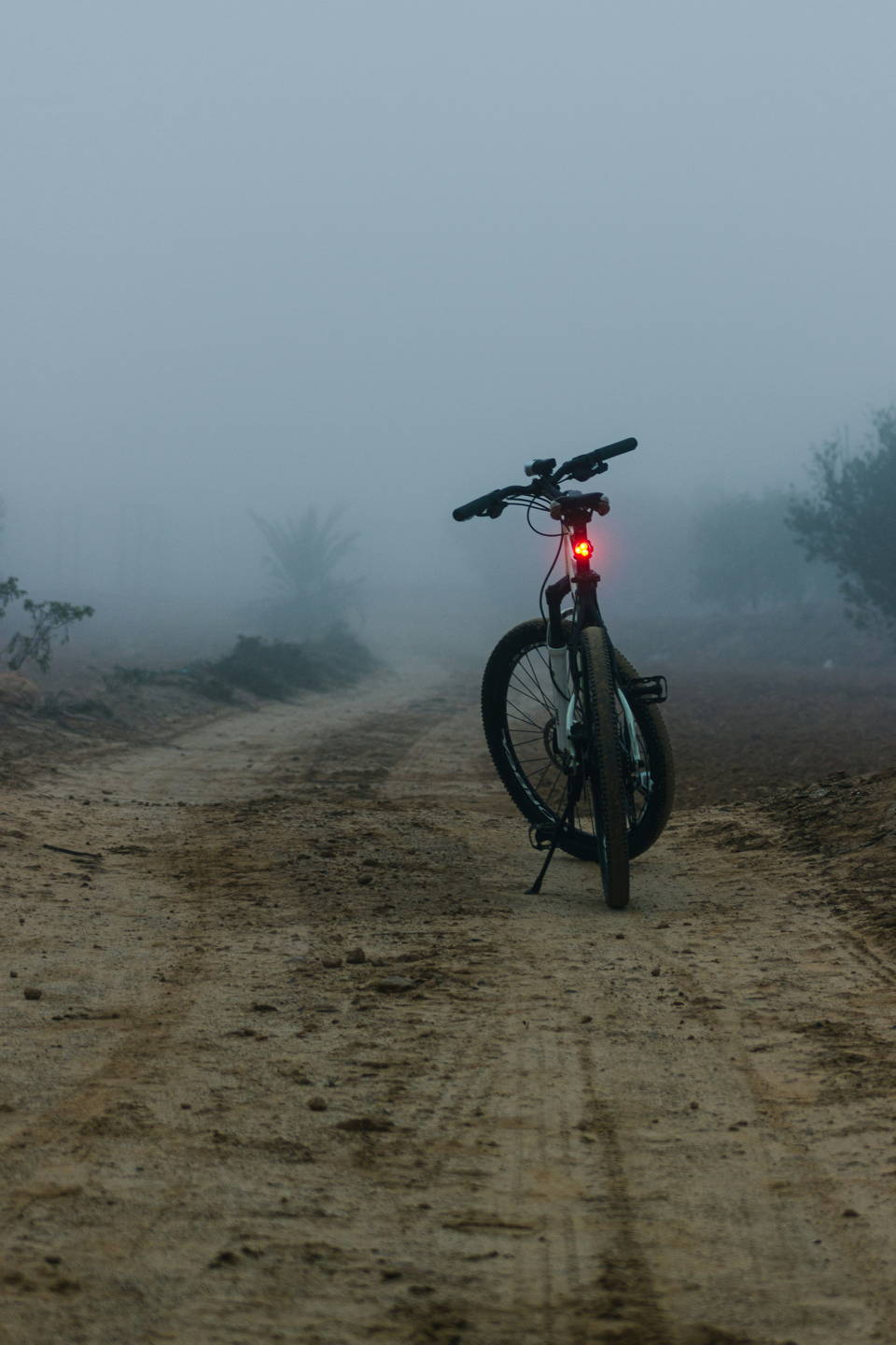 mountain bike elettrica