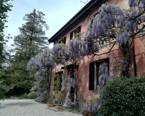 Corsi di cucina Laveno-Mombello: Gusto e storia a casa della gioia, cucina autentica