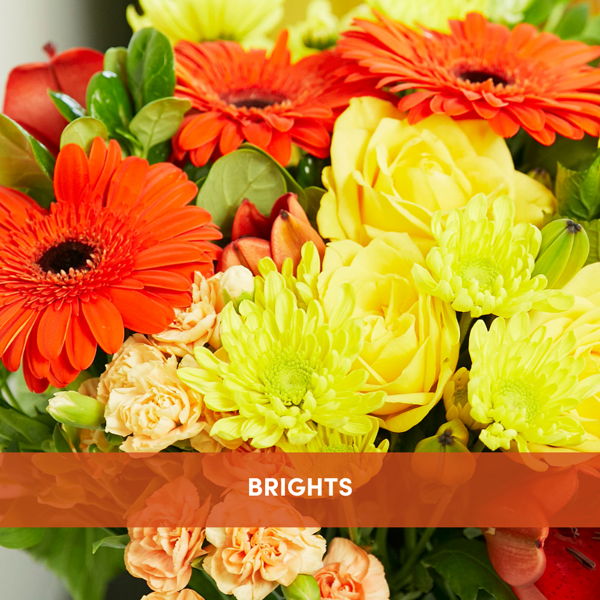 Treat her with a Posy_flowers_delivery_interflora_nz