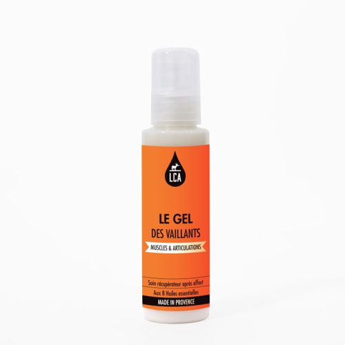 Le Gel des Vaillants