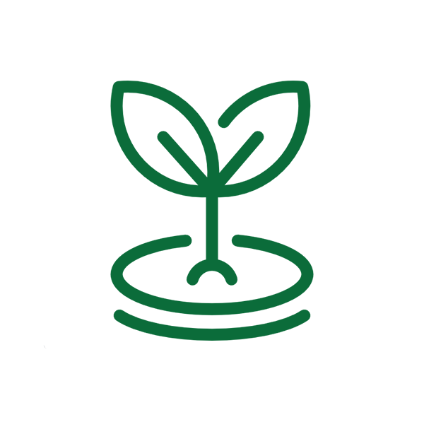 Reasons to choose nano singapore's Vitamin K2 with D3 Bone and Heart Health Supplement