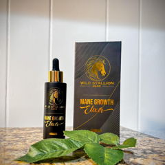 Mane Growth Elixir with green leaves on stone