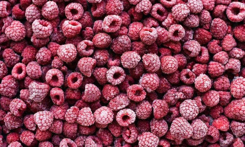 frozen raspberries for dogs