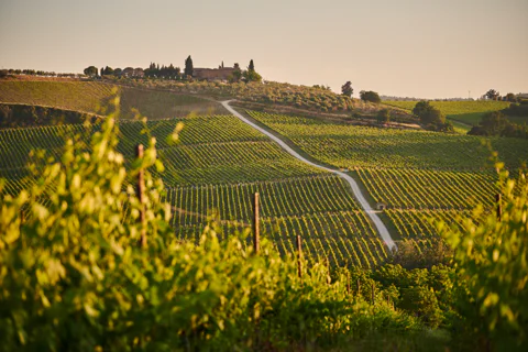 Delightfull and Refreshing Chianti Wine and Food Journey