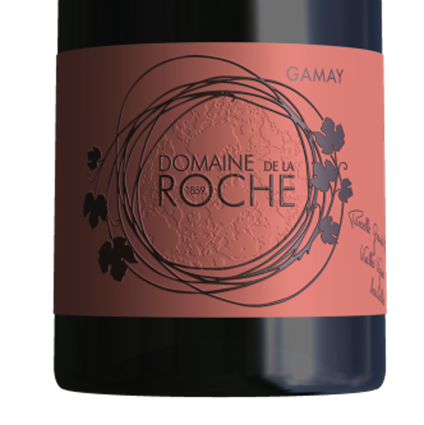 gamay-domaine-de-la-roche-1859