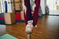 Little girl enjoying hanging from a sensory swing that is attached to the ceiling. 