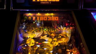 bowling castle shrek flipper