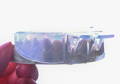 teeth model with clear trays inserted