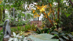 zoo krefeld vogelhaus