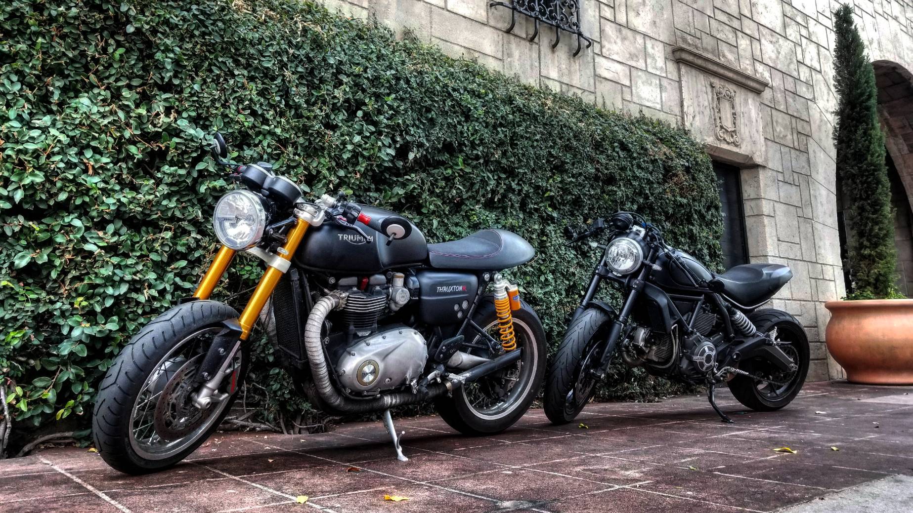 Triumph Thruxton 1200 R For Rent Near Los Angeles Ca Riders Share