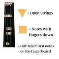 opern string, notes with finger down