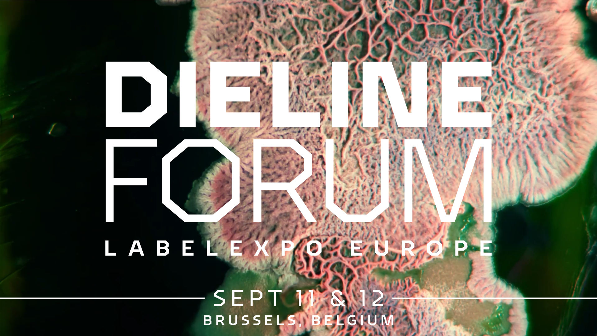 Register For The Dieline Forum At Labelexpo Brussels Before It’s Too Late