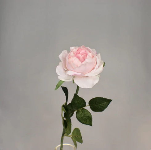 Light Pink David Austin Half Bloom Rose - Realistic Artificial Flowers - Image 2