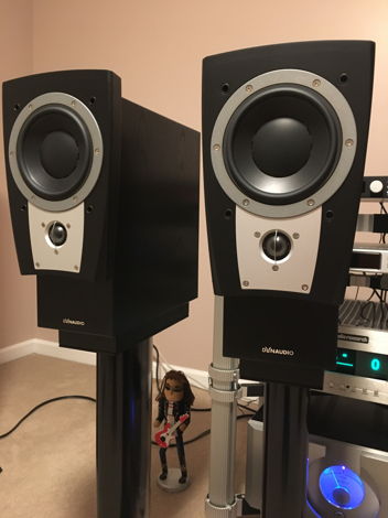 Dynaudio Confidence C1 MK2 Black Ash included Stand6