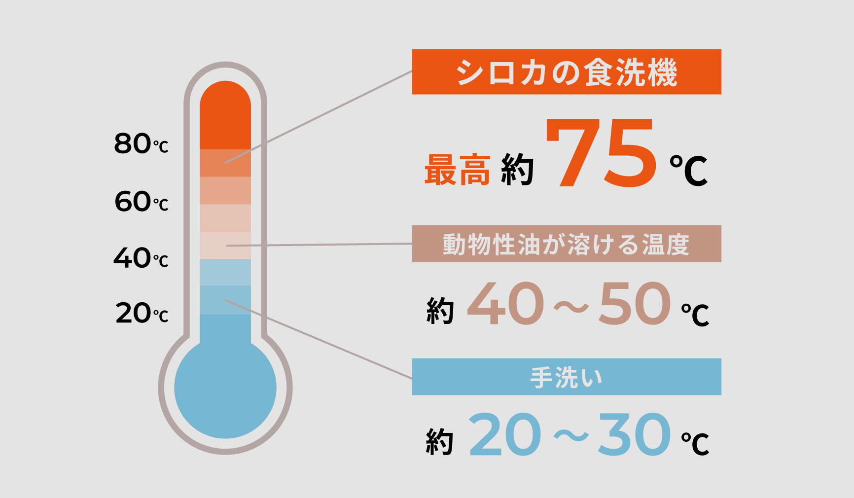 最高75℃の高温洗浄