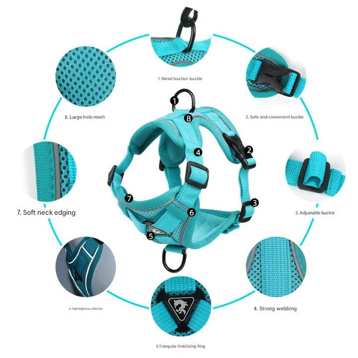 Blue Reflective Mesh Dog Harness and Leash Set - Adjustable No-Pull Vest - Image 4