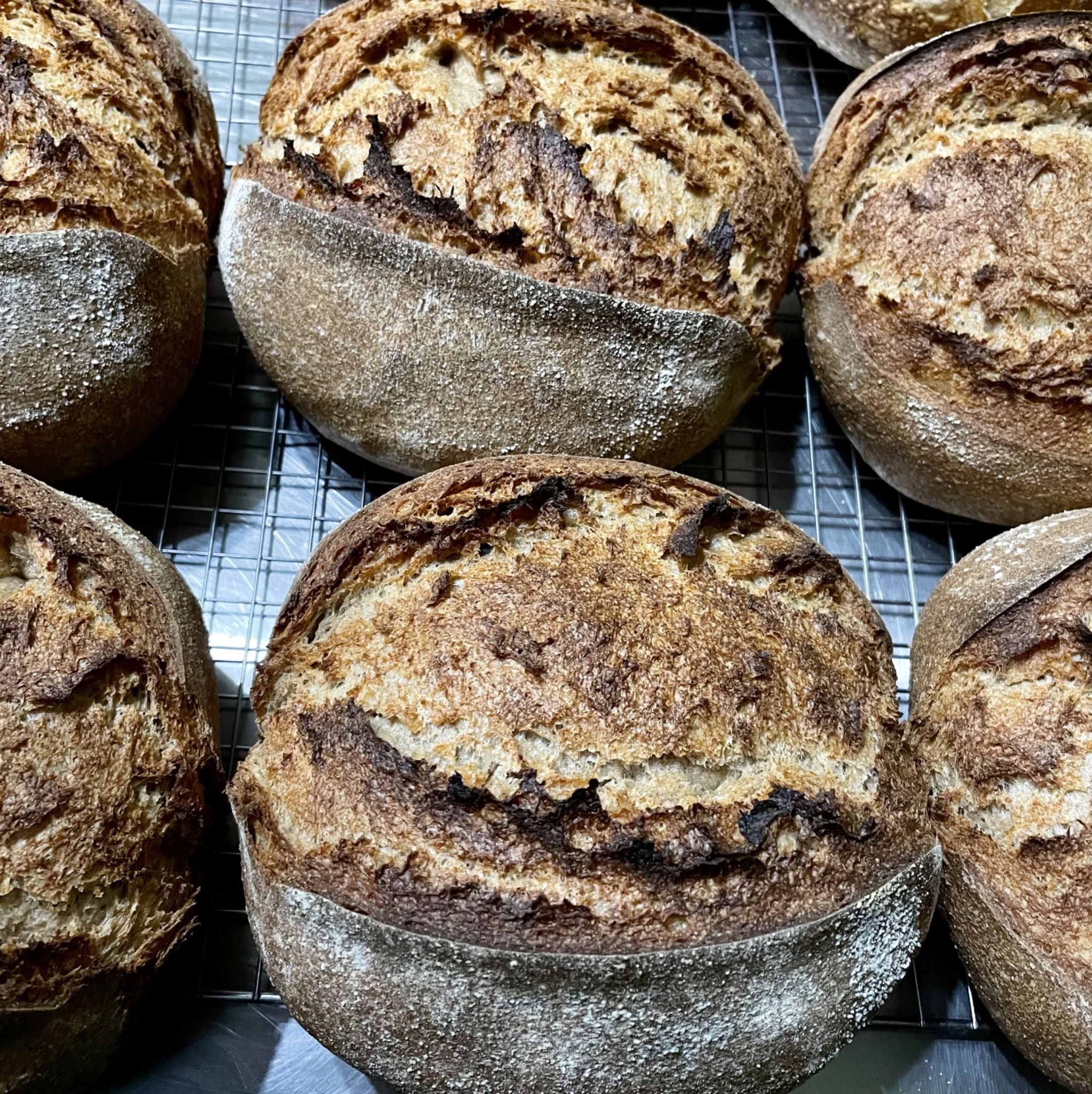 Mel Little👩🏻‍🍳🥖 — photo from hotplate.com