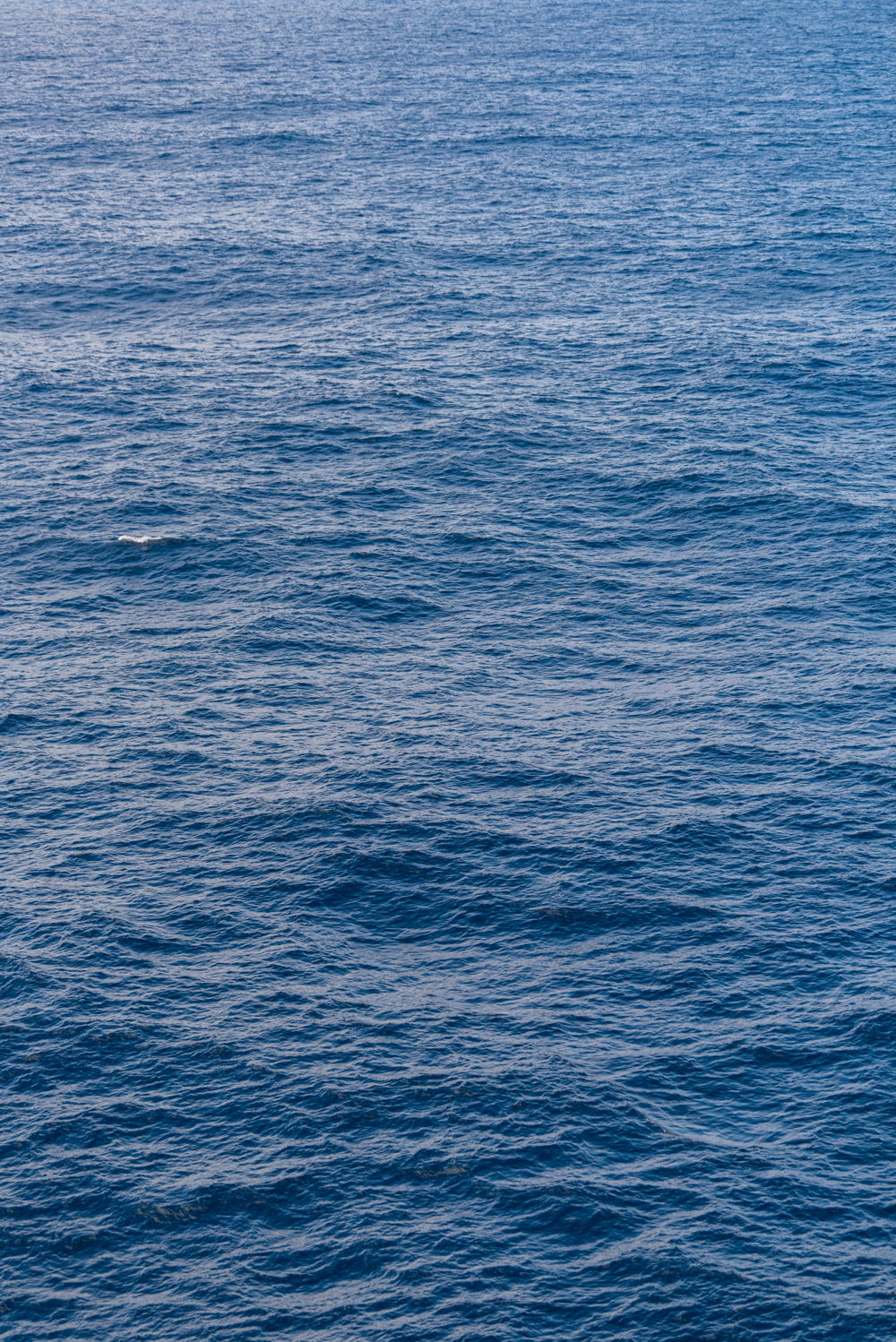 the game board; a photographic image of deep ocean waves from above; a place where tuna may congregate