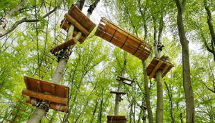 abenteuerpark potsdam blick in die baumkronen