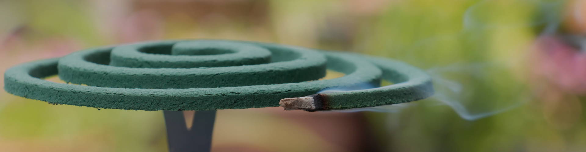 incense coils green burning