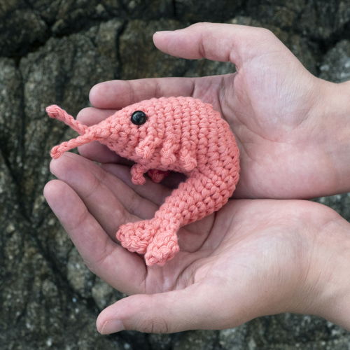 Amigurumi Shrimp