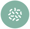 Icon mit Bakterien