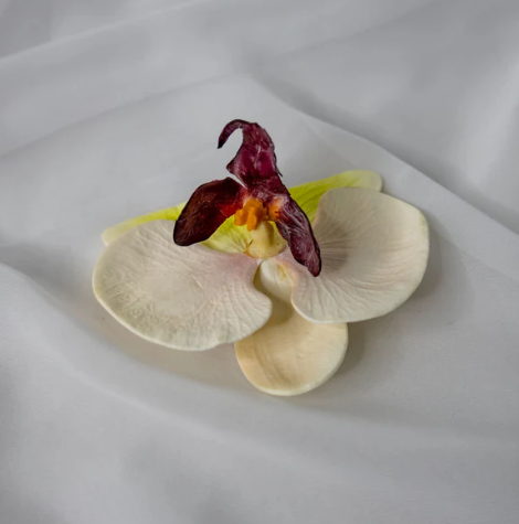 White, Pink and Green Phalaenopsis Flowerhead ( 6 Pack ) - Realistic Artificial Flowers - Image 3