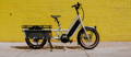 New York City Citi Bikes