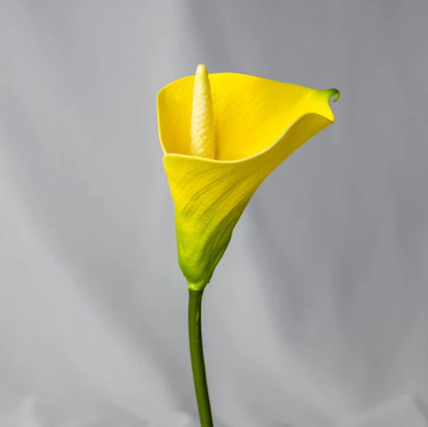 Yellow Mini Calla Lily - Realistic Artificial Flowers - Image 3