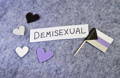 demisexual guide