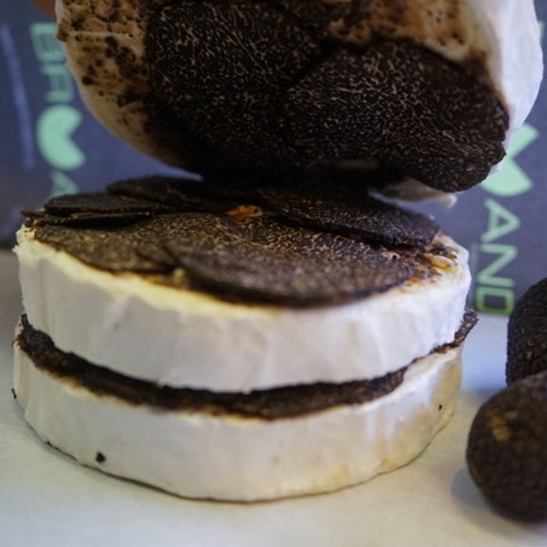 brie-fermier-truffe
