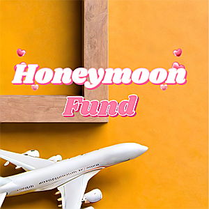 Our Honeymoon Fund